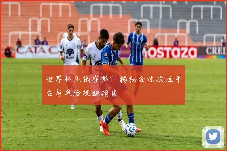 世界杯压钱在哪：揭秘合法投注平台与风险规避指南