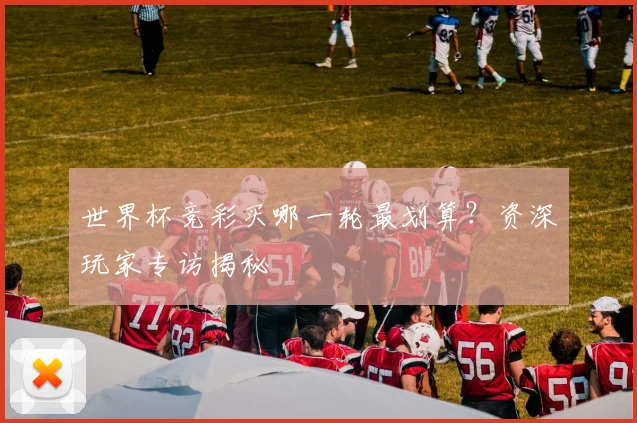 世界杯竞彩买哪一轮最划算？资深玩家专访揭秘