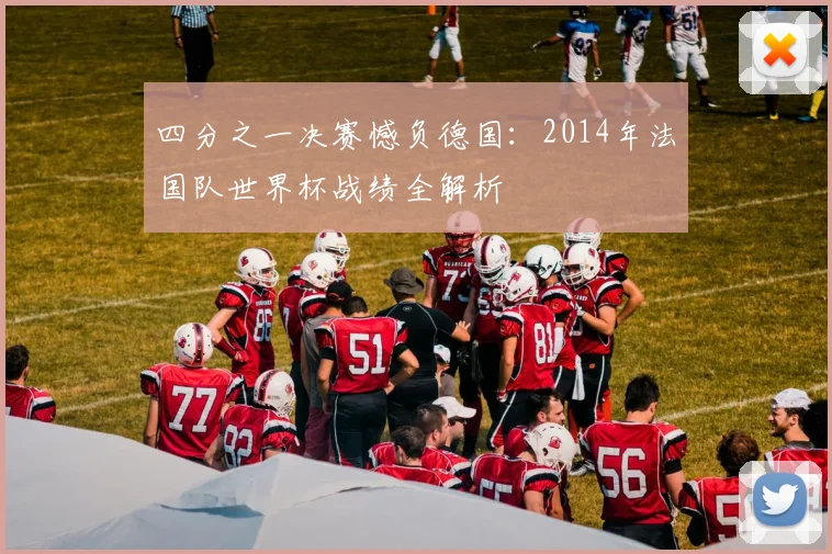 四分之一决赛憾负德国:2014年法国队世界杯战绩全解析