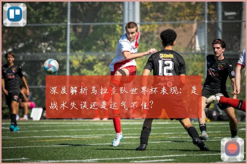 深度解析乌拉圭队世界杯表现：是战术失误还是运气不佳？